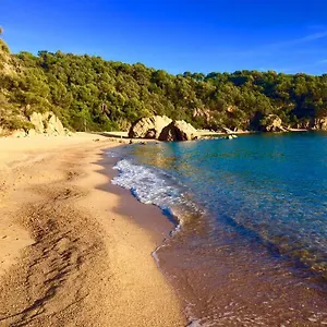 https://bungalow-cala-canyelles.catalonia-hotels.com